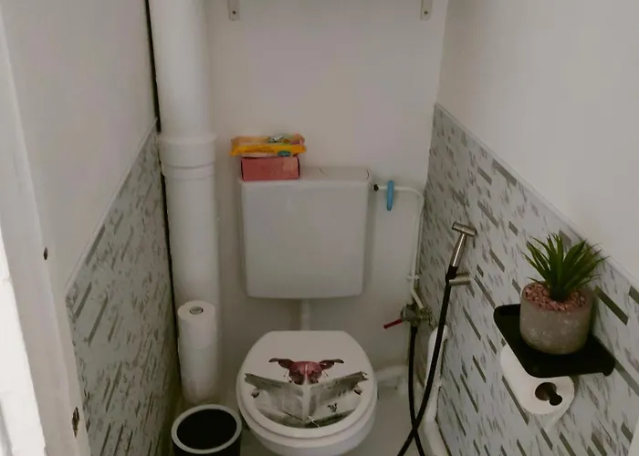 Séjour chez l'habitant Spacieuse Vu Sur La Tour Paris